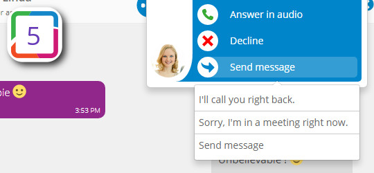 how_to_manage_an_incoming_audio_video_call_web5.jpg
