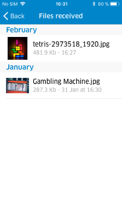 How_to_Manage_My_Shared_Files_iOS_4_2.PNG