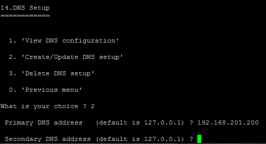 Netadmin_DNS_server_config.png